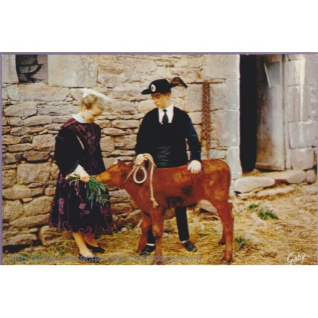La Bretagne, folklore de France - carte postale département Morbihan, Bretagne, animaux