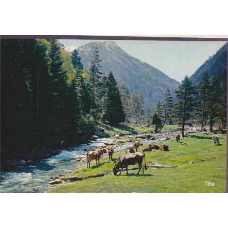 Hautes-Pyrénées, Vaches dans la vallée du Rieumajou - carte postale département Hautes-Pyrénées, animaux