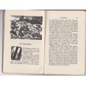 La croix qui chante, 1928, Pierre Gourdon - contes populaires, Vendée, Normandie,