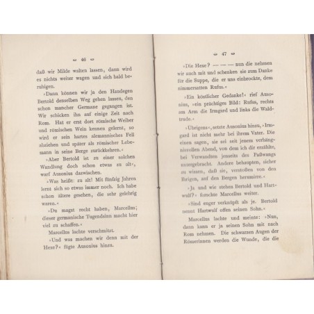 Die alte vom Roggen, Bruno Zoller, 1906 - roman, alsatiques