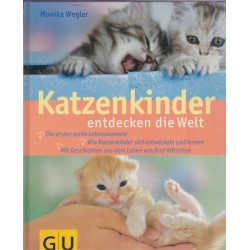 Katzenkinder entdecken die...