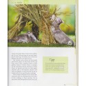 Katzenkinder entdecken die Welt, chatons, Monika Wegler, 2004 - chats - Katzen, Tiere