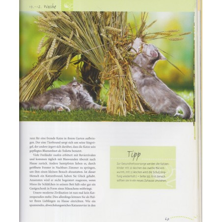 Katzenkinder entdecken die Welt, chatons, Monika Wegler, 2004 - chats - Katzen, Tiere