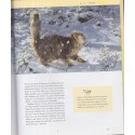 Katzenkinder entdecken die Welt, chatons, Monika Wegler, 2004 - chats - Katzen, Tiere