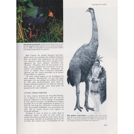 La vie fantastique des îles et des océans, Durward Allen, 1972 - animaux sauvages, animaux marins, nature, océans,