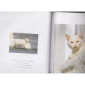 Katzen des Südens, Christina Krutz & Harald Braun, , , 2006 - chats, photographe animalier, Tiere, Katz, chats de Grèce