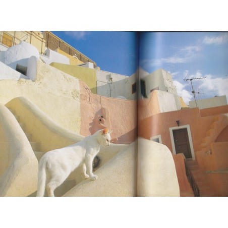 Katzen des Südens, Christina Krutz & Harald Braun, , , 2006 - chats, photographe animalier, Tiere, Katz, chats de Grèce