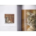 Katzen des Südens, Christina Krutz & Harald Braun, , , 2006 - chats, photographe animalier, Tiere, Katz, chats de Grèce