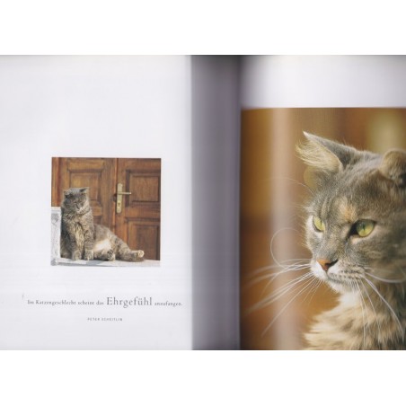 Katzen des Südens, Christina Krutz & Harald Braun, , , 2006 - chats, photographe animalier, Tiere, Katz, chats de Grèce