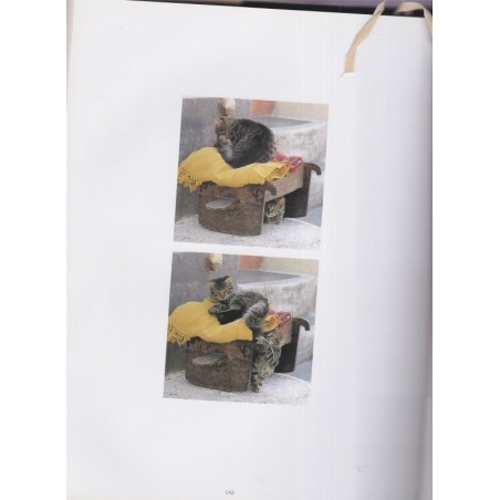 Katzen des Südens, Christina Krutz & Harald Braun, , , 2006 - chats, photographe animalier, Tiere, Katz, chats de Grèce