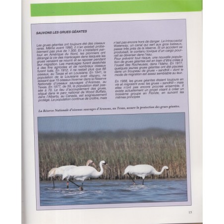 Protéger la faune sauvage, Malcolm Penny, 1990 - écologie, animaux sauvages,