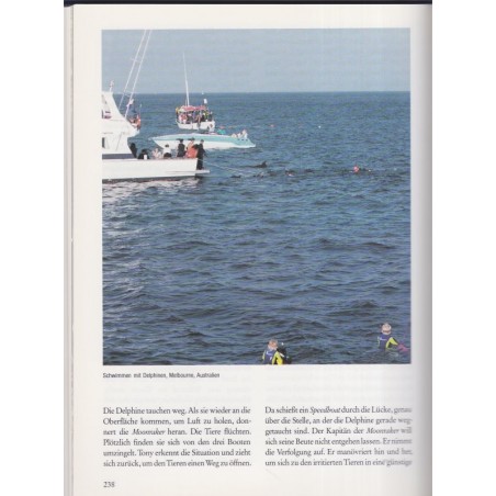 Delphin Geschichten, Greenpeace, Ralf Breier & Jörg Reiter, 1992 - Tiere, dauphins, animaux marins, écologie