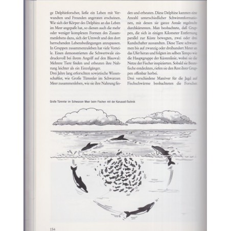Delphin Geschichten, Greenpeace, Ralf Breier & Jörg Reiter, 1992 - Tiere, dauphins, animaux marins, écologie