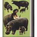 Enzyklopädie des Tierreiches, Säugetiere 4, Grzimeks, Tierlebens, 1968 - zoologie, encyclopédie, animaux sauvages,