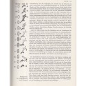 Enzyklopädie des Tierreiches, Säugetiere 4, Grzimeks, Tierlebens, 1968 - zoologie, encyclopédie, animaux sauvages,