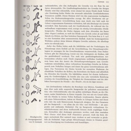 Enzyklopädie des Tierreiches, Säugetiere 4, Grzimeks Tierlebens, 1968 - Tiere, zoologie, encyclopédie, animaux sauvages,