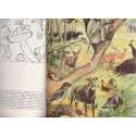 Enzyklopädie des Tierreiches, Säugetiere 4, Grzimeks, Tierlebens, 1968 - zoologie, encyclopédie, animaux sauvages,