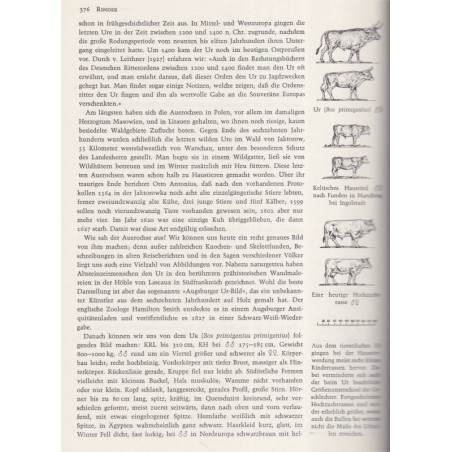 Enzyklopädie des Tierreiches, Säugetiere 4, Grzimeks Tierlebens, 1968 - Tiere, zoologie, encyclopédie, animaux sauvages,