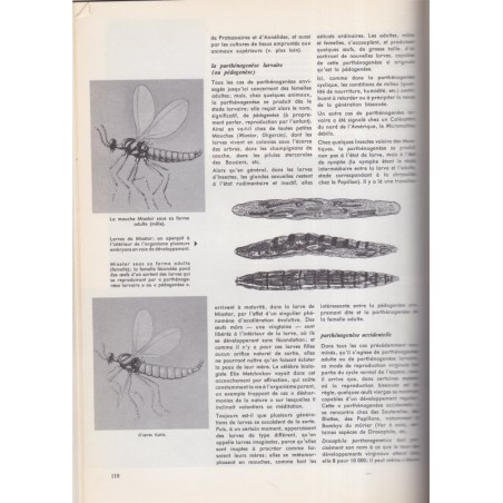 La vie, encyclopédie Larousse, Jean Rostand & Andrée Tétry,  1962 - biologie, zoologie, botanique