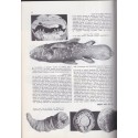 La vie, encyclopédie Larousse, Jean Rostand & Andrée Tétry,  1962 - biologie, zoologie, botanique