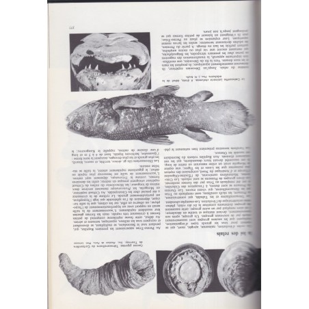 La vie, encyclopédie Larousse, Jean Rostand & Andrée Tétry,  1962 - biologie, zoologie, botanique