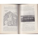 Cours de géographie Fallex, l'Europe moins la France, Gibert et Turlot, classe de 3e - manuels de géographie