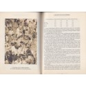 Saisons d'Alsace n°129, Réinventer l'Alsace, 1995 - revues alsatiques, dialecte alsacien