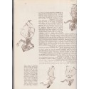 spécial Madagascar, automates,  - La Revue Française de l'élite européenne, N°62 novembre 1954,