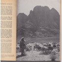 La grande espérance, histoire de Dieu et des prophètes du Christ, 1954 - Ancien Testament, Israël