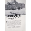 La Revue Française de l'élite européenne, N°61 octobre 1954 - animaux, automobiles Fiat, voitures de sport 1950