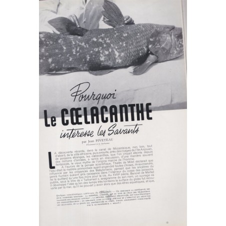 La Revue Française de l'élite européenne, N°61 octobre 1954 - animaux, automobiles Fiat, voitures de sport 1950