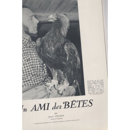 Spécial Salon de l'automobile 1954, vendanges Prouffitz Champestres, aigles, La Revue Française de l'élite européenne, N°61 1954