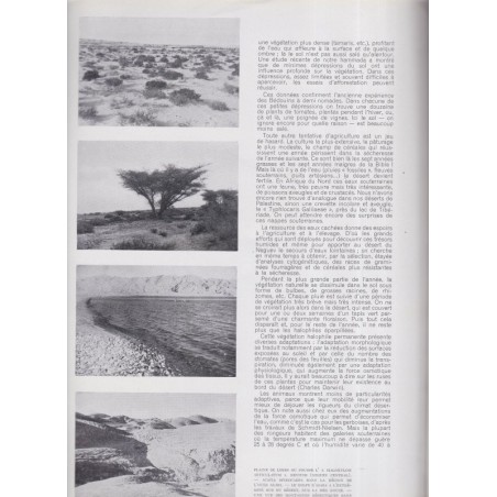 spécial Israël - héraldique, peintres XVIe siècle - La Revue Française de l'élite européenne, N°63 décembre 1954,