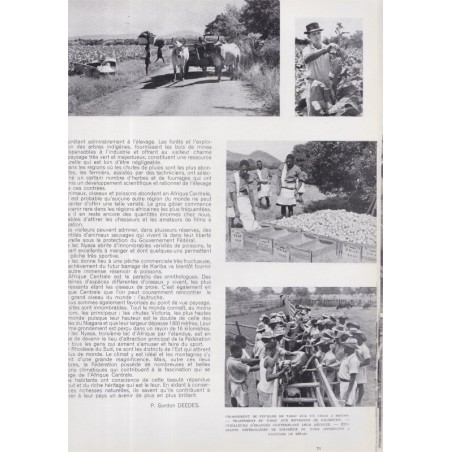 Spécial Rhodésie, chasse Rhodésie, diamants Saint-Claude Jura, La Revue Française de l'élite européenne, N°74 déc 1955