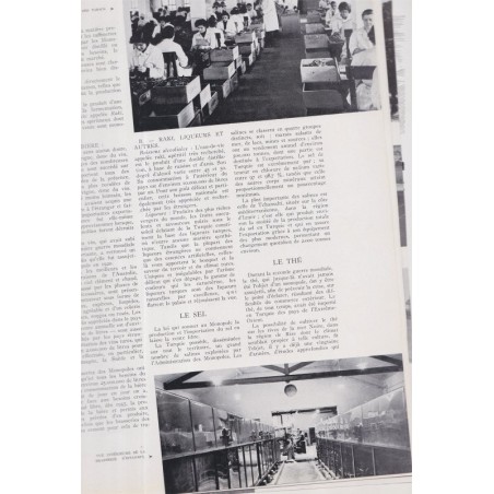 La Revue Française de l'élite européenne, N°77 avril 1956, spécial O.E.C.E commerce européen - Europe, Indochine, Israël