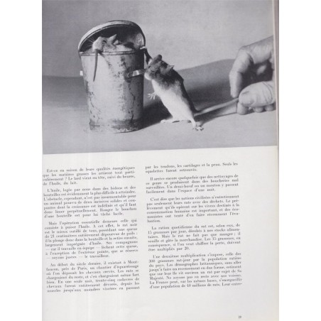 spécial Mexique, industries mexicaines, Aztèques, peinture monumentale, La Revue Française de l'élite européenne, N°72 sep 1955