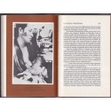 Le journal d'Hiroshima, Michihiko Hachiya - 2e guerre mondiale, Japon. collections