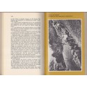 Histoire secrète des maquis étrangers T1, Bernard Michal, 1971 - 2e guerre mondiale, livre de collection