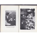 Le dossier 1939-1945, Roosevelt, Bauwens, 1968 - 2e guerre mondiale, biographies, livres de collection Eur-Edit